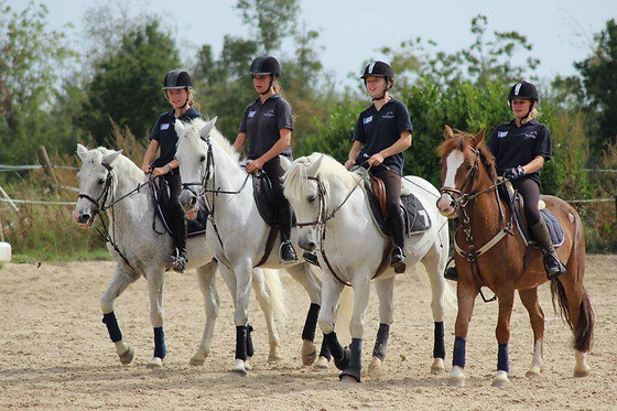 Chartres équitation - photo 1