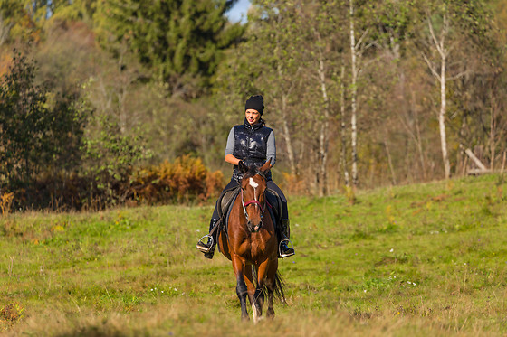 Le Haras des Ouches - photo 6