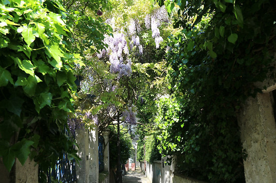 Paris Par Rues Méconnues - photo 5