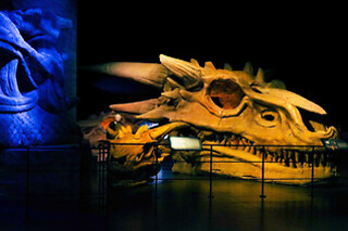 Game of Thrones Studio - Visite en duo