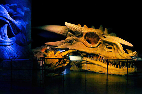 Game of Thrones Studio - Visite en duo