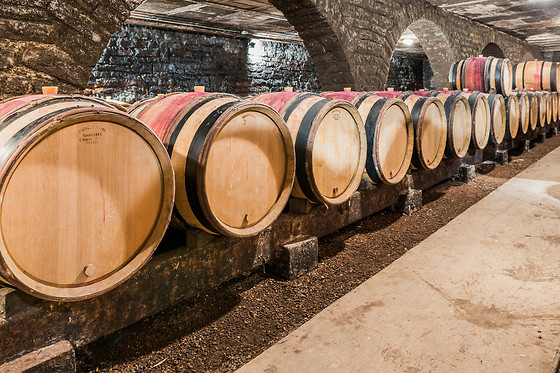 Domaine Besancenot - photo 7