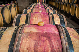 Domaine Besancenot