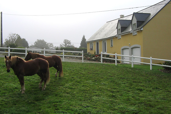 Le Pot au Lait - photo 3
