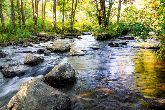 Les Rives de lArzon - photo 2