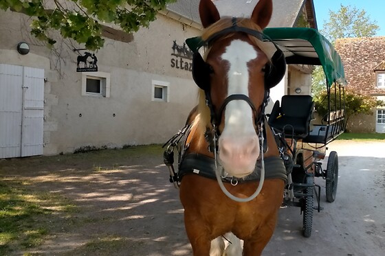 Le village de Cottages - photo 7
