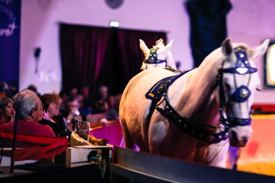 Zagal Cabaret - photo 1