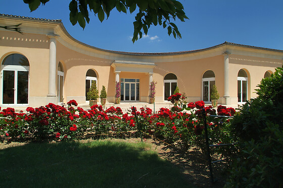Vignobles Chatonnet - photo 2