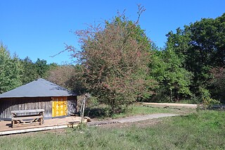 Séjour en yourte pour 4 au Domaine du Bois Davy au Thoureil (49)