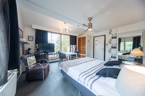 De Witte Merel & Hotel at home - photo 18