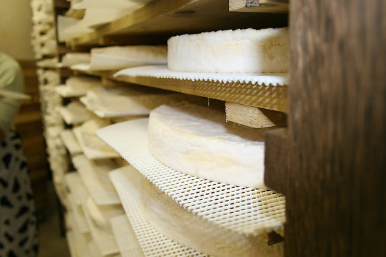 Fromagerie Ganot - photo 0