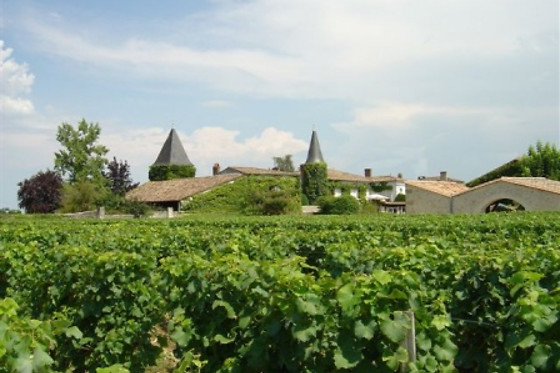 Escape game autour du vin pour 2 - Oenanim - Saint-Émilion (33)