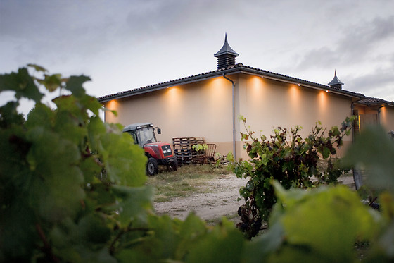 Escape game autour du vin pour 2 - Oenanim - Saint-Émilion (33)
