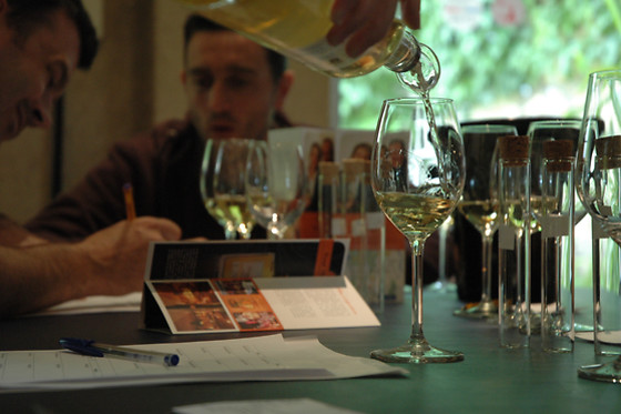 Escape game autour du vin pour 2 - Oenanim - Saint-Émilion (33)