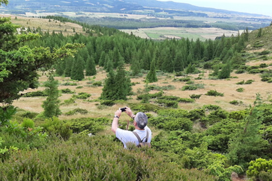 Azores Nature Tours - photo 27