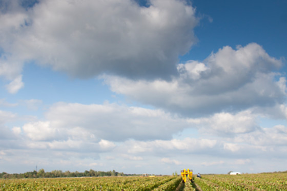 Le Clos de Caramélia - photo 10
