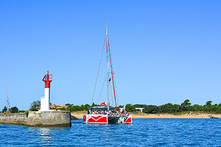 Balade en catamaran en duo - Inter Iles Catamarans - La Rochelle (17)