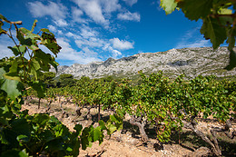 Zenitude- Aix-en-Provence - Le Tholonet