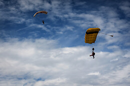 ABEILLE PARACHUTISME NORMANDIE