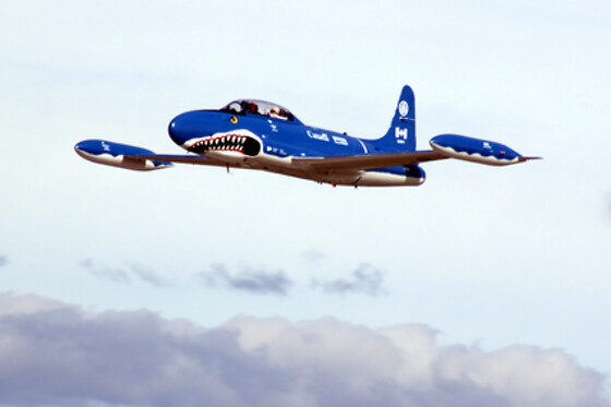 Vol en avion de chasse MB-326 - MiGFlug (Italie)