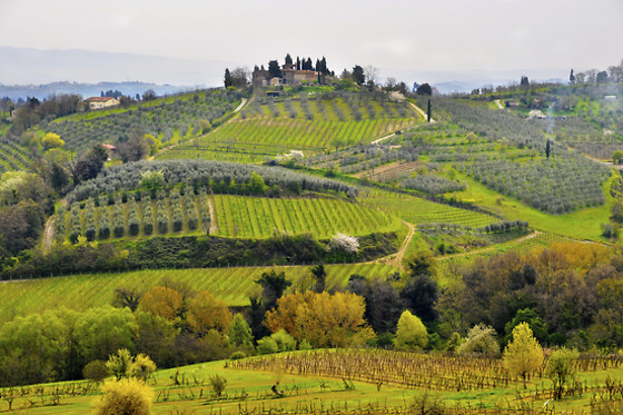 La Spiga - photo 0