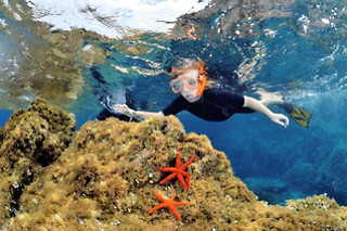 Formation PE12 avec 3 séances de plongée sous-marine - Subdive - Calvi (20)