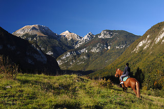 Balade à cheval en duo