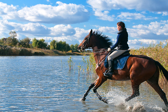 Balade à cheval en duo