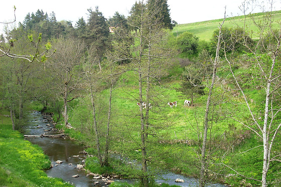 Les Roulottes de la Ferme des Chanaux - photo 4