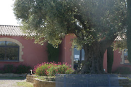 Le Moulin des Costières