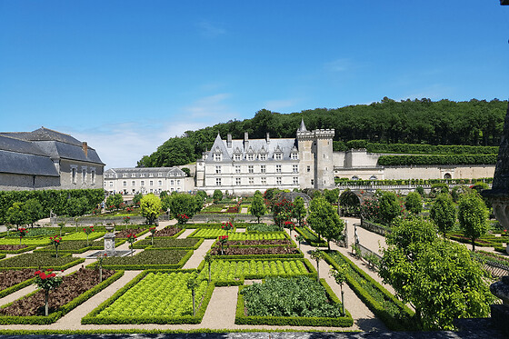Journée Visite Châteaux Du Val-De-Loire Et Vignoble De Vouvray - Billet depuis Tours