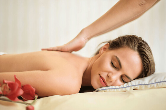 Massage ayurvédique à Toulouse (31)