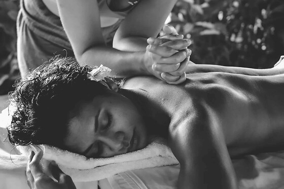 Massage Shiatsu à Morcenx (40)