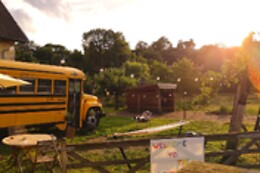 The School Bus