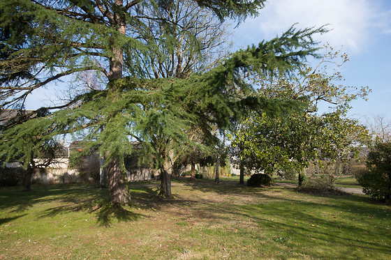 Domaine de l'Oie Rouge - photo 2