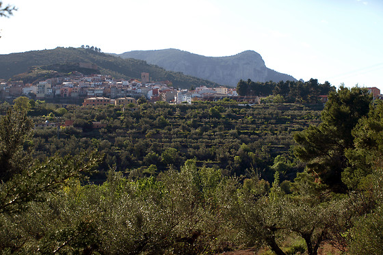 APARTAMENTOS RLAPITA - photo 0