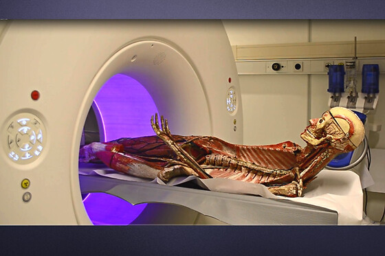 Musée de la Médecine Bruxelles - photo 1