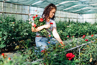 Journée d'initiation à l'horticulture à Avrainville (91)