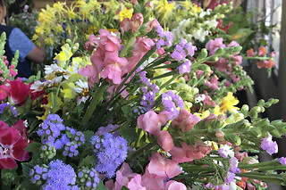 Visite à la ferme & atelier floral  à Avrainville (91)