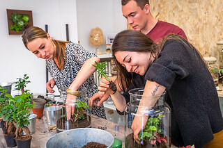 Atelier terrarium à Caluire-et-Cuire (69)