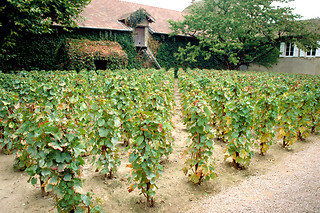 Dégustation pour 2 au Hameau Duboeuf à Romanèche-Thorins (71)