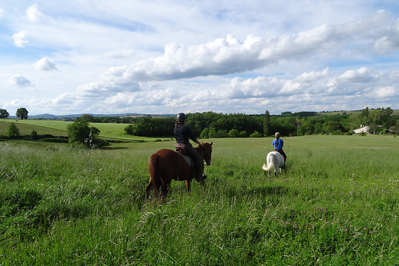 Un Poney, une histoire - photo 7
