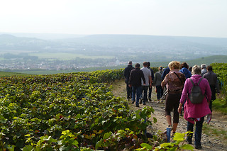 Atelier d’œnologie pour 2 au Sentier du Vigneron à Mutigny (51)