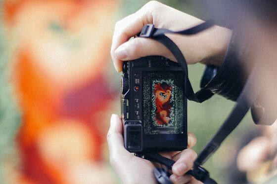 Balade photo 