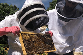 Stage journée Apiculture à Vincennes
