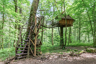 Un séjour à 2 à L'Arbre à Cabane à Guyonvelle (52)