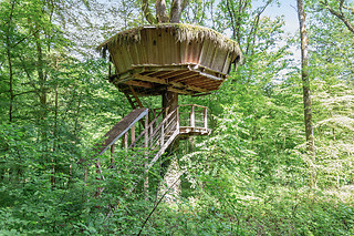 Un séjour à 2 à L'Arbre à Cabane à Guyonvelle (52)