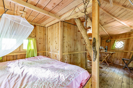 L'Arbre à Cabane - photo 5