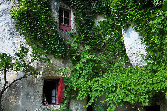 La Magnanerie - photo 3
