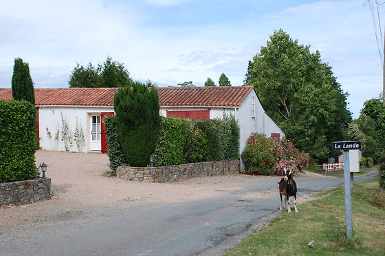 Le Logis de la Lande - photo 13